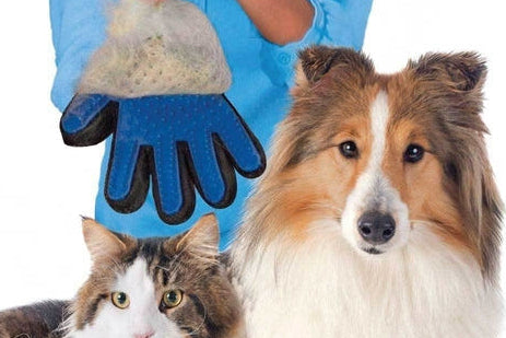 2in1 Pet Deshedding and Massage Glove