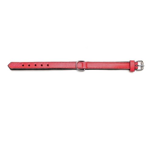 Dog collar Gloria Padded