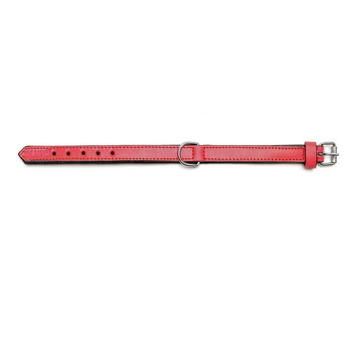 Dog collar Gloria Padded