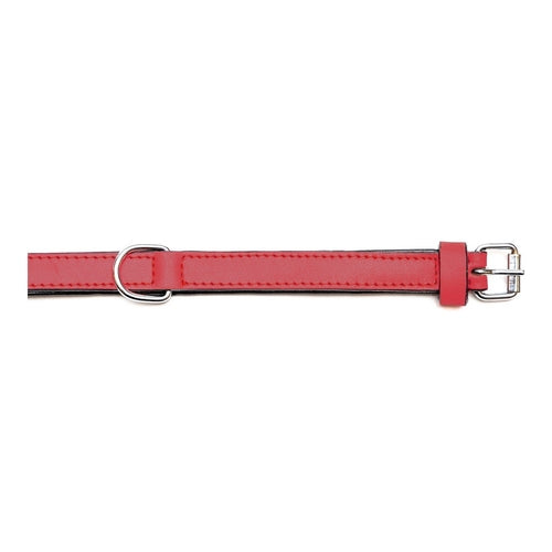 Dog collar Gloria Padded