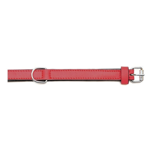 Dog collar Gloria Padded