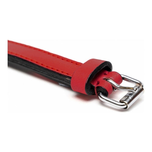 Dog collar Gloria Padded