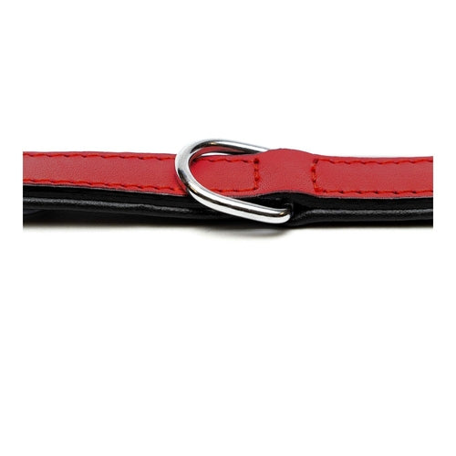 Dog collar Gloria Padded