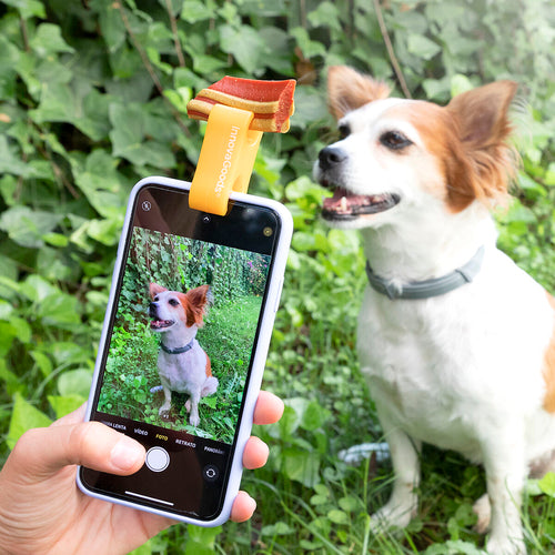 Selfie Clip InnovaGoods