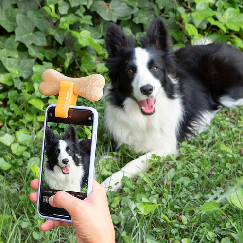 Selfie Clip InnovaGoods
